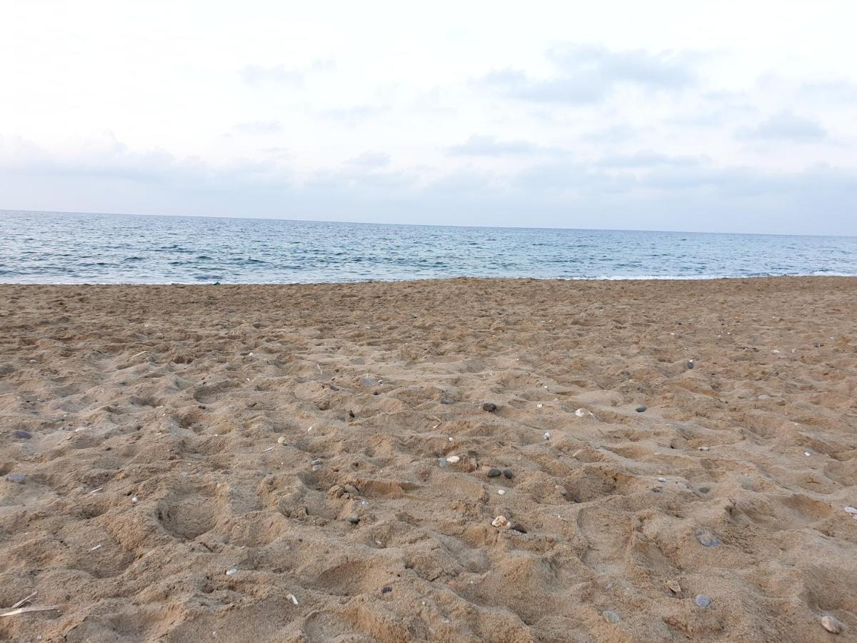 Hotel Kathrin Beach 아델리아노스 캄포스 외부 사진